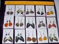 earrings with white background medium wings assorted handcrafted of resin 6usd each as pair eee.jpg
