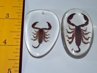 scorpion assorted form handcrafted of resin 7usd each ee.jpg