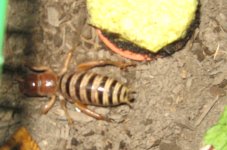 IMG_2356.JPG