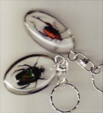 BeetleKeychains.jpg