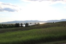 habitat.jpg
