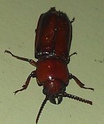 IMAG0898.jpg