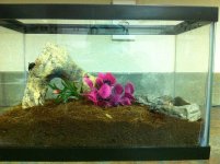 goryi tank.jpg