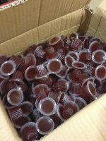 IMG_0556 - Version 2.jpg