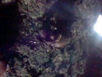HNI_0017.JPG