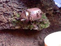HNI_0029.JPG