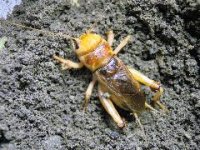 201109191244213952.jpg