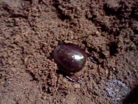 HNI_0069.JPG HNI_0069.JPG