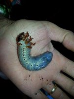 20130217_153202.jpg