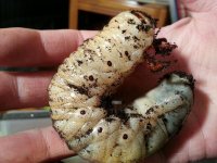 20131024_205639.jpg
