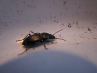 IMG_1515.jpg
