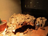 IMG_1538.jpg