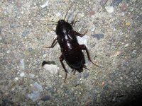 IMG_2478.jpg