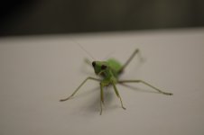 DSCF2473.JPG