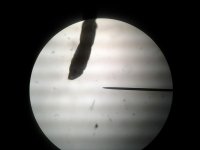 20150209_180659.jpg