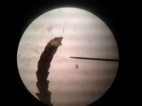 20150209_180648.jpg
