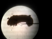 20150209_180606.jpg