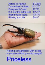 Priceless dhh.jpg