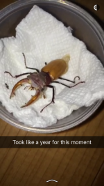IMG_0787.PNG IMG_0787.PNG