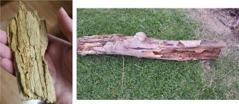 wood.jpg wood.jpg