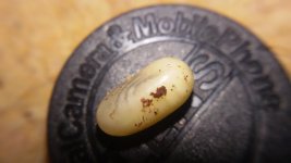 20160114_203831.jpg