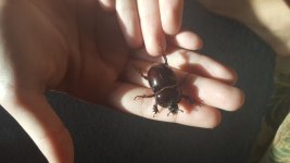 20160705_191615.jpg