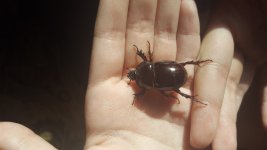 20160705_191653.jpg