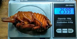 IMG_20160918_013716.jpg