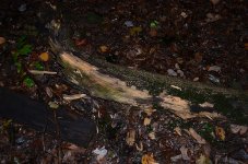 DSC_0005.JPG DSC_0005.JPG