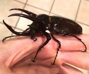FullSizeRender-5.jpg