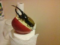 rps20170207_151358.jpg