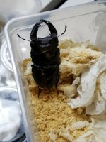 20171217_144336_480x640_240x320.jpg
