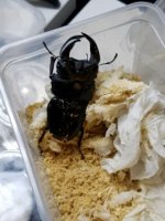 20171217_144340_480x640_240x320.jpg