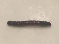 F8997DE5-3371-454E-9703-8CA6E9BC77D1.jpeg