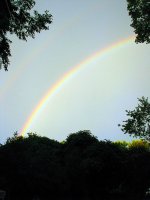 IMG_2856.jpg