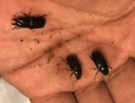 468C3F7F-B5D6-49FD-B8B1-E50CD995E1EB.jpeg 468C3F7F-B5D6-49FD-B8B1-E50CD995E1EB.jpeg