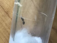 C325AE1D-3ED4-4ABF-833E-E01706900E8D.jpeg