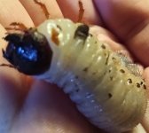 IMG_20201217_123828151.jpg