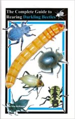 bug book.jpg
