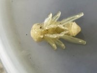 4775E93D-3E3B-46FE-88AB-AD5DAA38752A.jpeg
