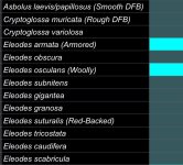 83E657DD-A078-49E0-8F20-B6DAD45D8D84.jpeg 83E657DD-A078-49E0-8F20-B6DAD45D8D84.jpeg