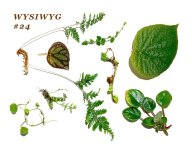resize-WYSIWYG-24.jpg