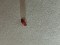 20221005_222040.jpg