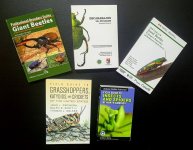 insect-books.jpg
