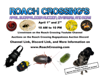 Bugapalooza_2.png Bugapalooza_2.png
