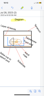 IMG_1668.png IMG_1668.png