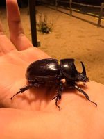 IMG_2023-09-19-160327.jpeg