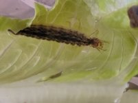 20230925_114121.jpg