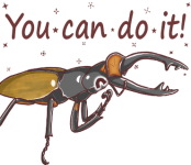 You can do it!.png