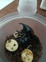 IMG_20251128_061444.jpg IMG_20251128_061444.jpg